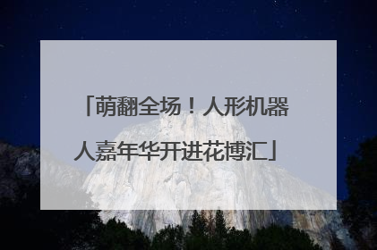 萌翻全场！人形机器人嘉年华开进花博汇